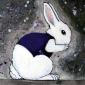 the white rabbit, original painting