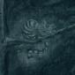 wonderland at night: sweet dreams for the mentally unbalanced