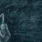 wonderland at night: insomnia & paranoia