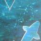 elements: water