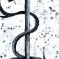 ace of wands