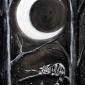 the moon
